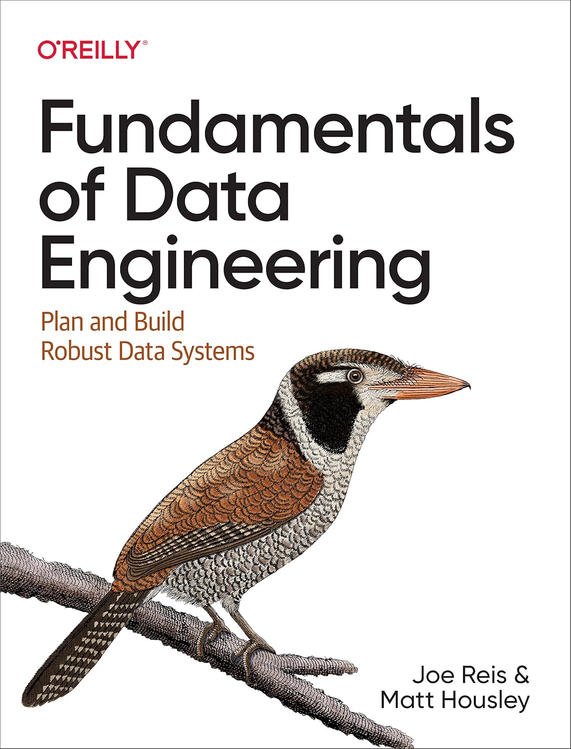 Fundamentals of Data Engineering: Plan and Build Robust Data Systems 1st Edition by Joe Reis (Author), Matt Housley (Author)
