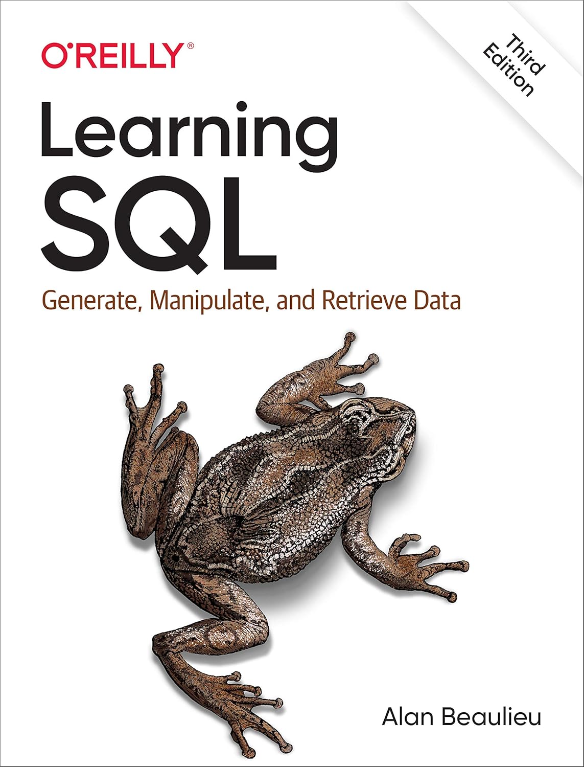 Learning SQL: Generate, Manipulate, and Retrieve Data 3rd Edition by Alan Beaulieu (Author)